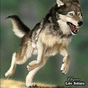 Meet your Posher, Nicolas